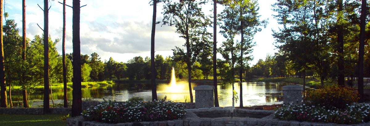 A fountain in the middle of a park with trees.