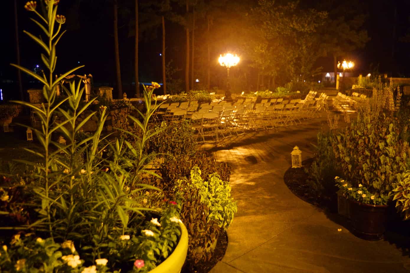 A path in the middle of a garden at night.